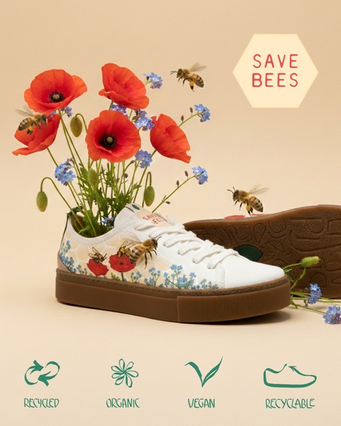 canvas sneakers, casual shoes, low top sneakers, fashion sneakers, walking shoes, brand awareness, minimalist, editorial, fresh, calm, neutral, green, red
